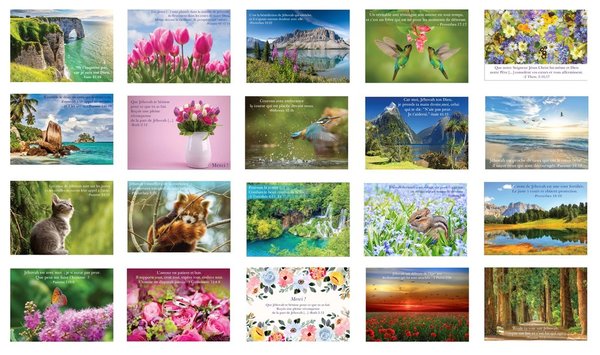 PACK 20 CARTES DIVERSES OCCASIONS