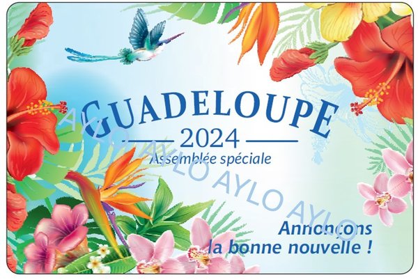 MAGNET Guadeloupe 1- Précommande