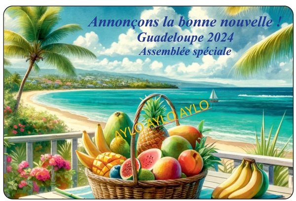 MAGNET Guadeloupe 4- Précommande